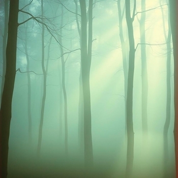 Альбом Музыка реки и звуки природы для медитации и сна Музыка для медитации, Успокаивающая музыка, Музыка для релаксации