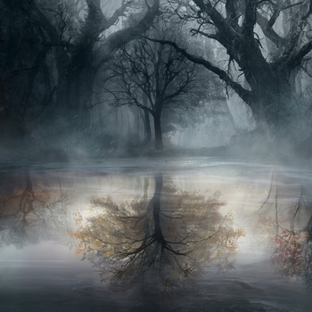 prvrln - The passing time