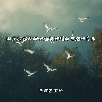 Альбом 解压放松助眠哄睡安神缓解焦虑纯音乐 午夜造梦师