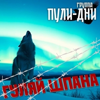 Группа Пули-Дни - Жиган