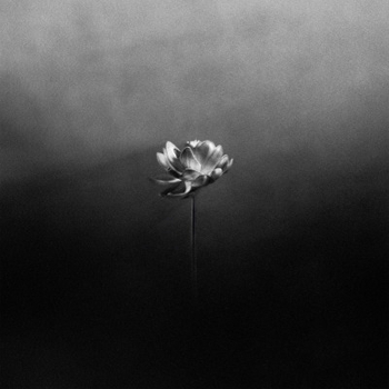 Michael Kiwanuka, Little Simz, Yussef Dayes - Lotus