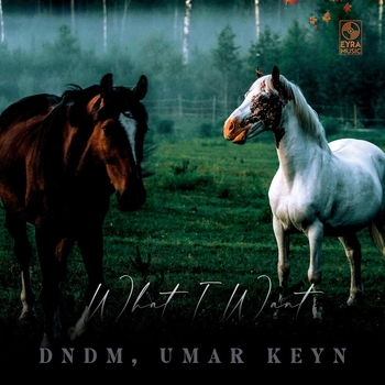 Umar Keyn, Dndm - What I Want