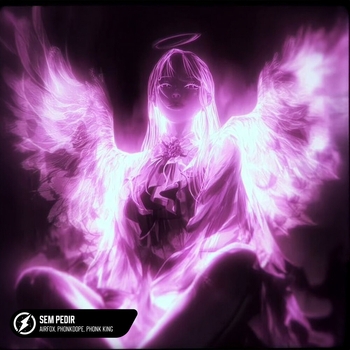 Альбом Sem Pedir Airfox, Phonkdope, phonk king