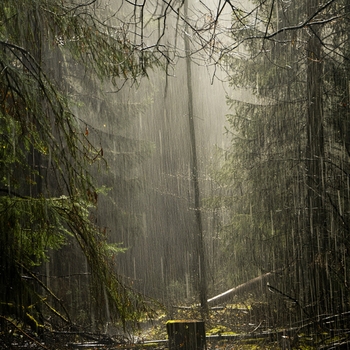 Альбом Музыка Для Сна Малыша И Звуки Природы Andrey Filippov, Звуки сна Окружающие Шумы