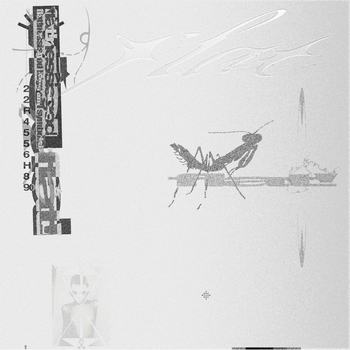 Альбом flatnessisgod2 Thz