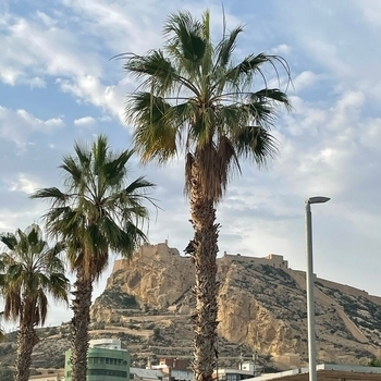 Альбом Инструменталы и подложки Падаем