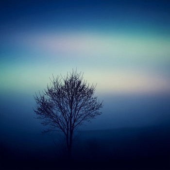 rain in drain - stay home speedup