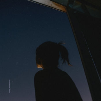 Альбом avenoir Danweer