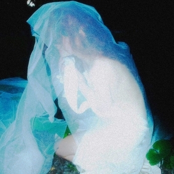 Альбом outis Luc wall, PUNXO