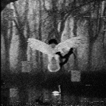 Альбом concreted Tonttulucie, seadxnce