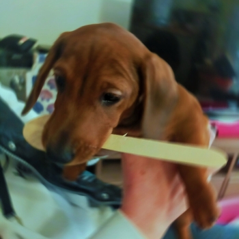 W4RP - For Heaven's Sake