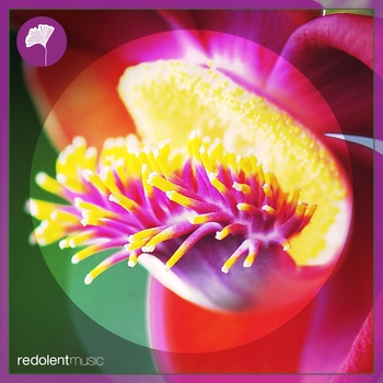 Альбом Jajajaja Jochen Pash, Bodean