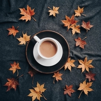 Альбом Осенние вечера: спокойная музыка для уюта и расслабления Спокойная фоновая музыка, Музыка для медитации, Музыка для релаксации, Музыка для работы и фона, Priroda, Музыка для работы