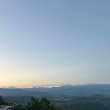 Альбом evening vibe LVNX