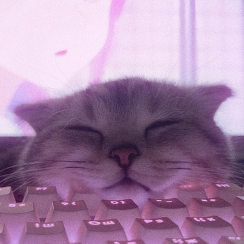 Альбом КИСИ-КИСИ МЯУ-МЯУ DRAWMEDEATH, ZXLXN, DJ MATROSKIN