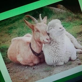 Sqftyboy - капли от шлёзок (retro version)