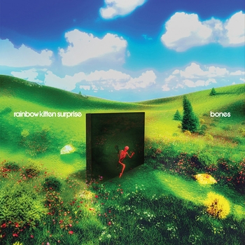 Rainbow Kitten Surprise - Hell Nah