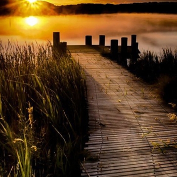 Pavel - В дальние города