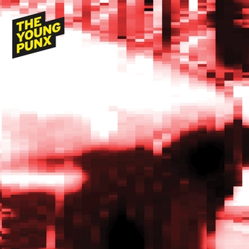 Альбом Mashpop & Punkstep : DnB Mixes The Young Punx