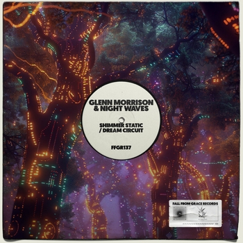 Альбом Shimmer Static / Dream Circuit Glenn Morrison, Night Waves
