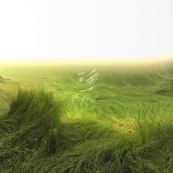 Альбом trash Mørke, tnartz