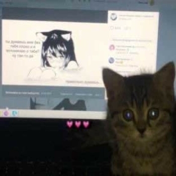 Альбом i don't know 1NZZiDENT