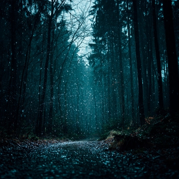 Альбом Шум дождя для расслабления Шум Дождя и Звук Грозы, Расслабляющая медицина, Звуки сна Окружающие Шумы