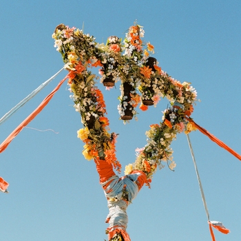 The Devil Wears Prada - Where the Flowers Never Grow