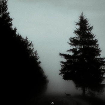 Keelse - Боюсь любить