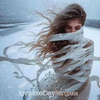 Альбом Invisible Day Remixes Palaraga