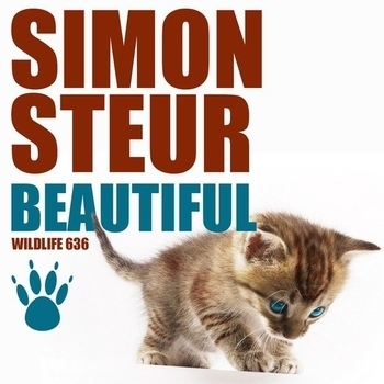 Triangle Sun - Beautiful