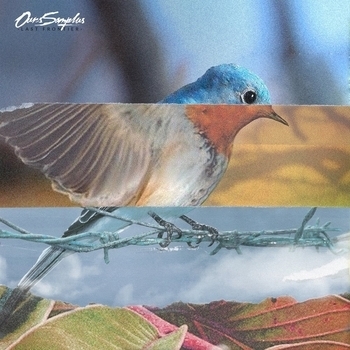 Ours Samplus - Hara Kiri