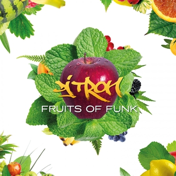DJ Tron - The Fruits (Intro)