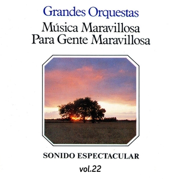 Альбом Música Maravillosa Para Gente Maravillosa, Vol. 22 Orquesta Música Maravillosa