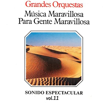 Альбом Música Maravillosa Para Gente Maravillosa, Vol. 11 Orquesta Música Maravillosa