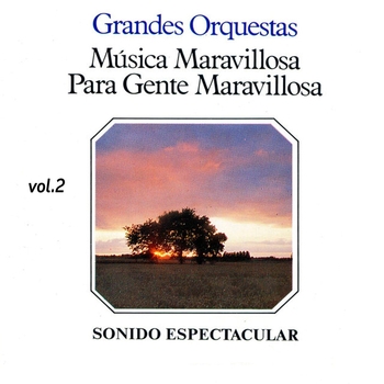 Альбом Música Maravillosa Para Gente Maravillosa, Vol. 2 Orquesta Música Maravillosa