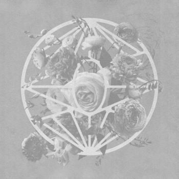 Imminence - Paralyzed (Acoustic)