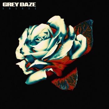 Grey Daze - What's In The Eye