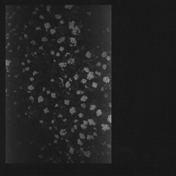 Motorama - Similar Way