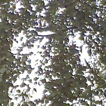 Творожное Озеро - Поверх земли