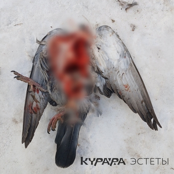 Курара - Будда (Album mix)