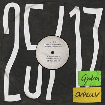 Альбом Цифровой пляс 25/17