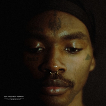 Terry Presume - Tears on the leaves