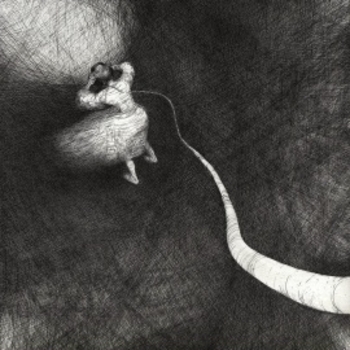 Полюса - Наше ничего