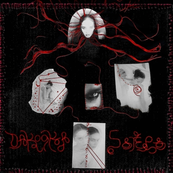 Dakooka, Wkomix - Mein Herz (Remix)