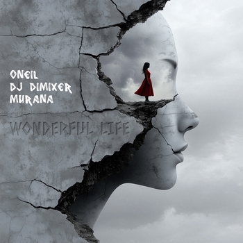 Dj Dimixer feat Oneil, Murana - Wonderful Life