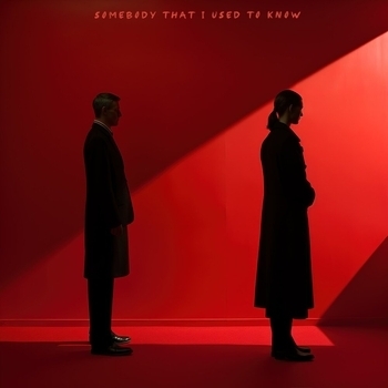 Oneil feat Organ, Favia - Somebody That I Used to Know (2023)