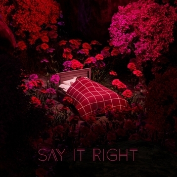 Oneil feat Organ, Favia - Say It Right (Electro Dance 2022)
