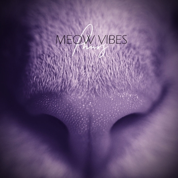 Phurs - Meow Vibes