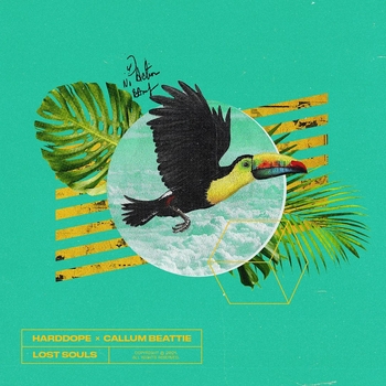 Harddope feat Callum Beattie - Lost Souls (Single 2021)